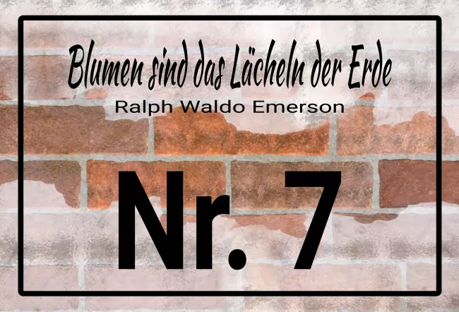 Strassen - Hausnummern Blumen ... Bild